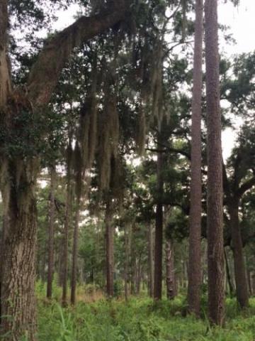 Tall Timbers Research Station